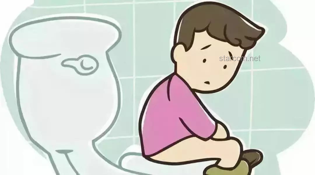 “拉屎自由”背后的真相与实现指南：打造个人舒适排便环境